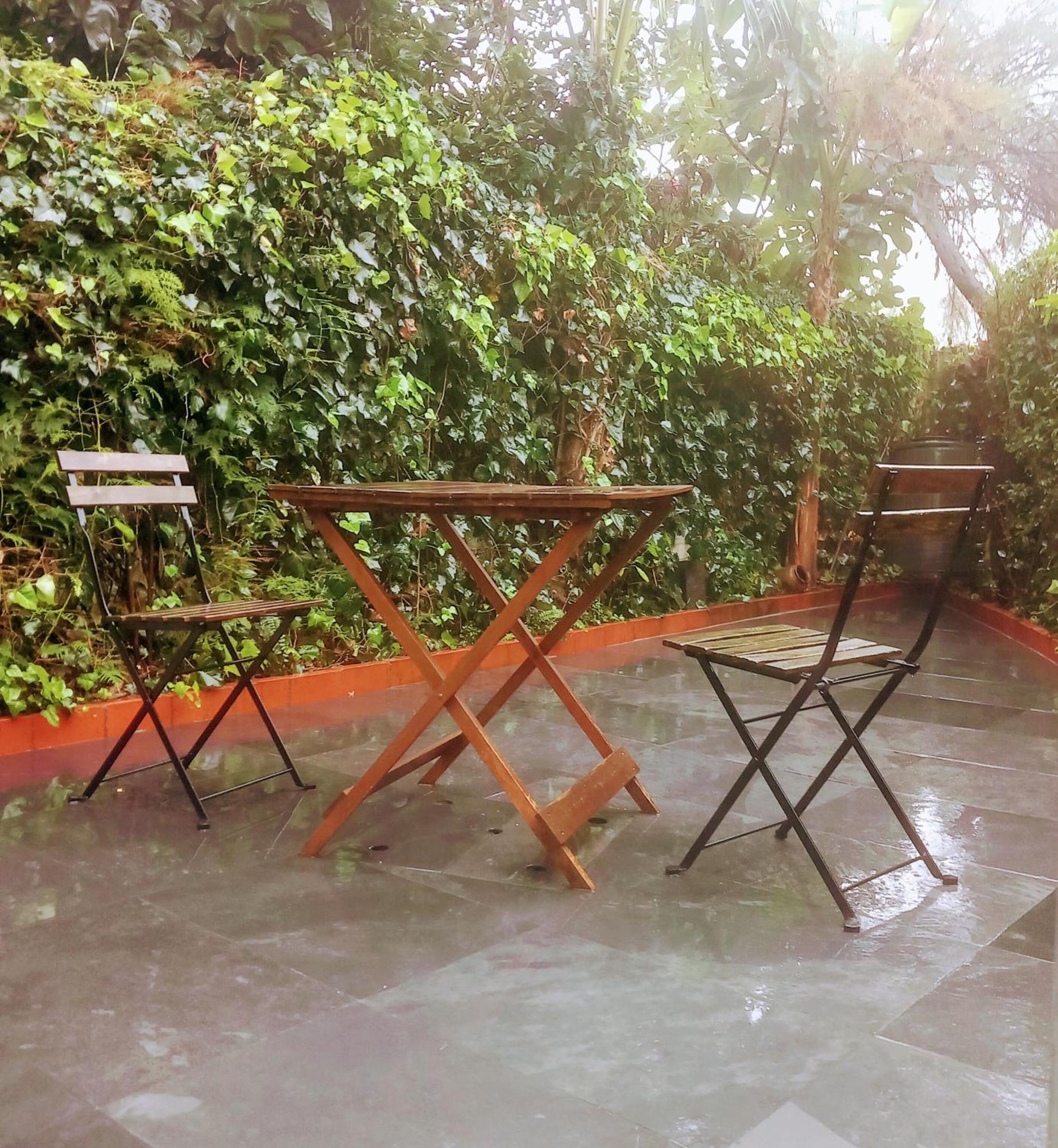 Apartment With Private Garden Porto Dış mekan fotoğraf