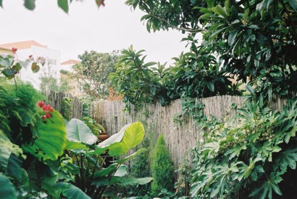 Apartment With Private Garden Porto Oda fotoğraf